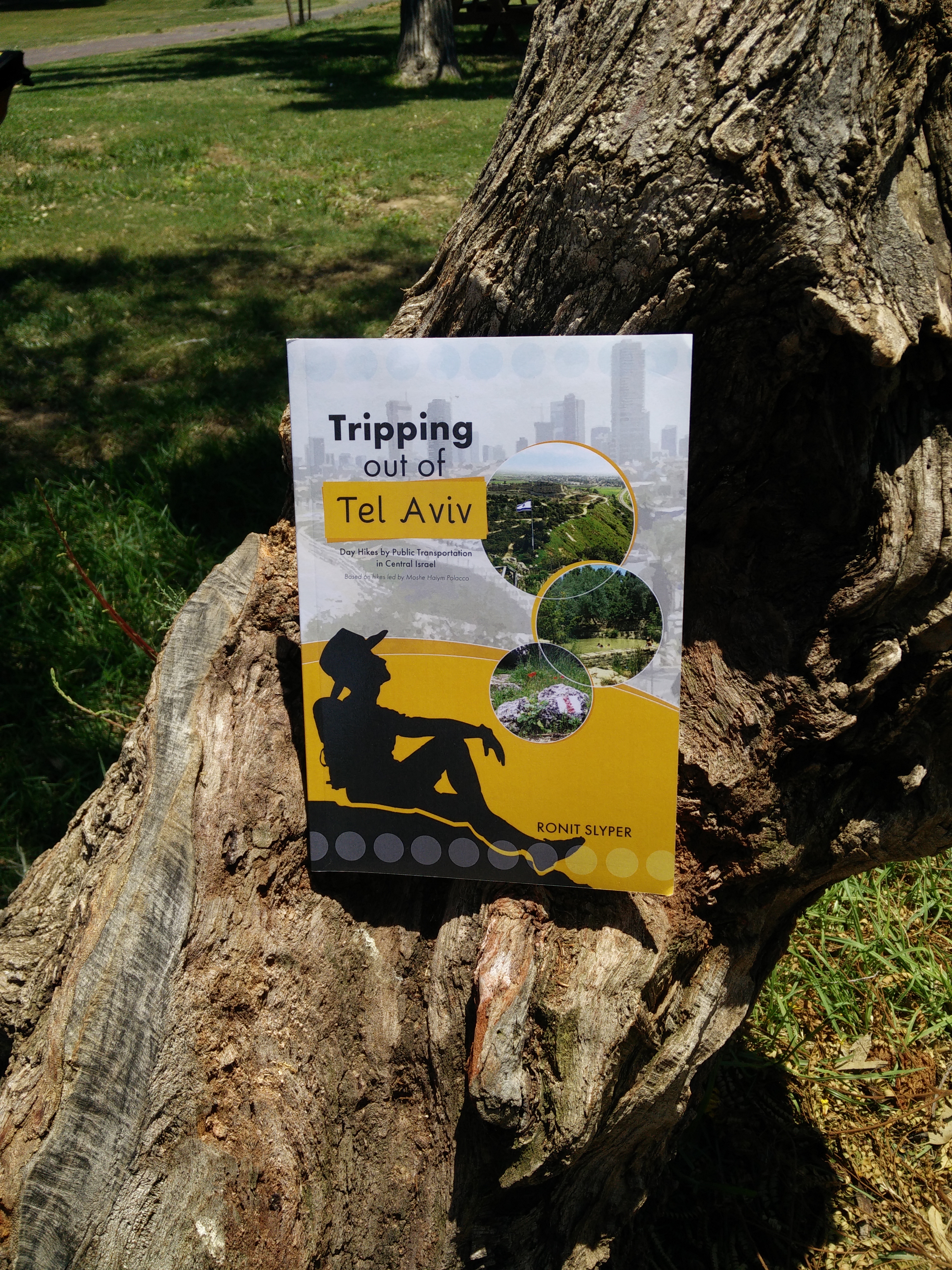 Tripping out of Tel Aviv book in nature