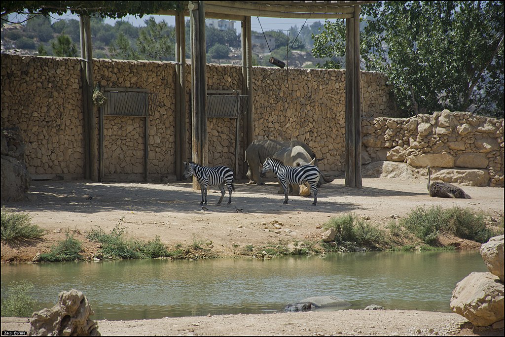 Jerusalem Biblical Zoo
