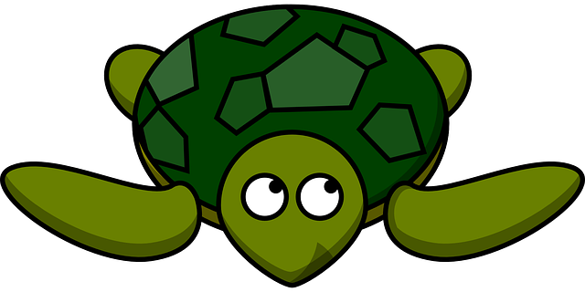 Turtles in Nahal Alexander